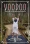 voodoo-and-african-traditional-religion-abod